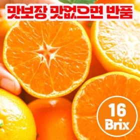 제주 대정농협 무릉 카라향 2.5kg 로얄과