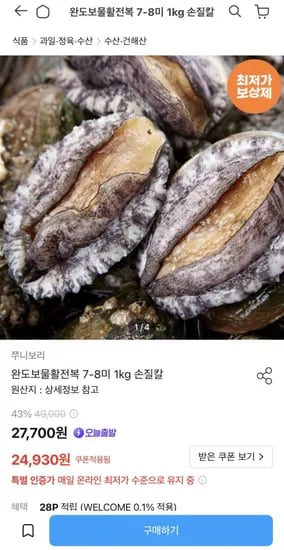 완도보물활전복 7-8미 kg (24,930원/무료)1