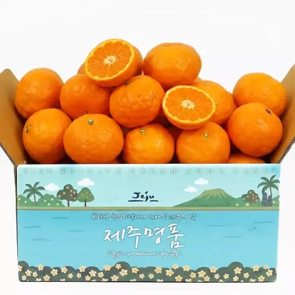 제주 카라향 .5kg 로얄과 (14,900원/무배)2
