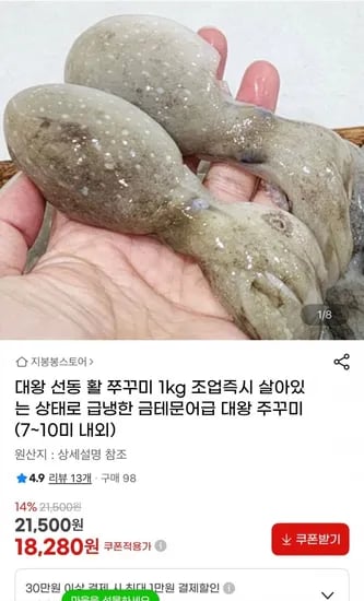 대왕 선동 활쭈꾸미 1kg 7~10미내외 (18,280원/무료)