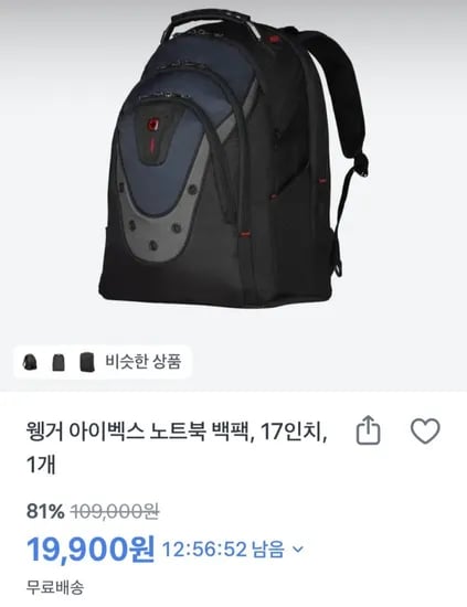 웽거 아이벡스 백팩 (19,900원/무료)
