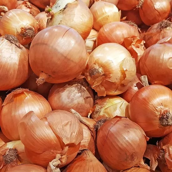 국내산 양파 장아찌용 10kg