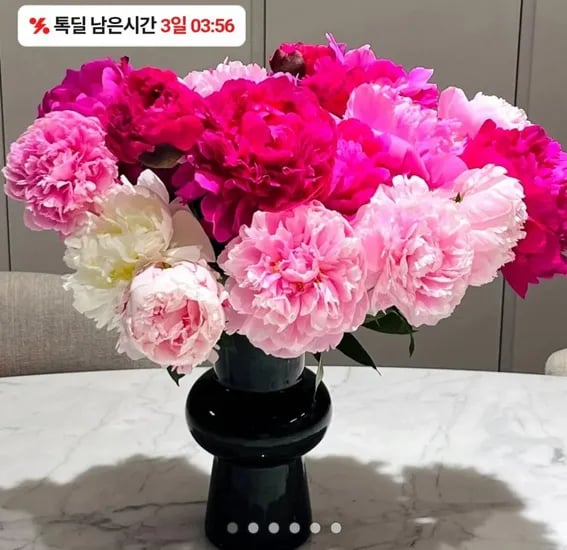 작약꽃 5송이