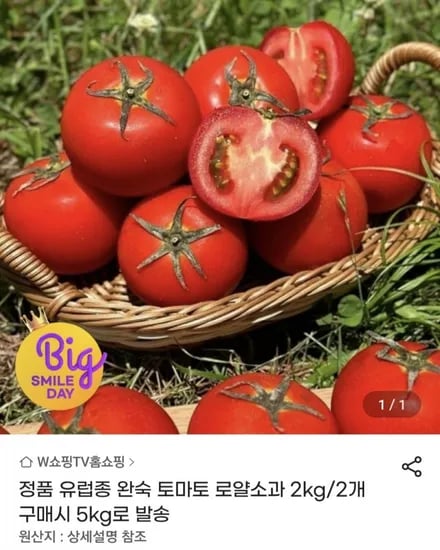 완숙 토마토 로얄소과 5kg / 1kg 2,000원대 (13,550원/무료)