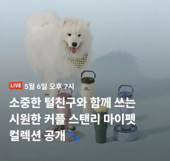 스탠리 마이펫 컬렉션 출시 펫 보울 외 텀블러 (46,000원~/무료)