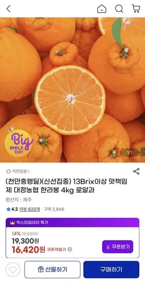 대정농협 한라봉 4kg 로얄과 외 다양