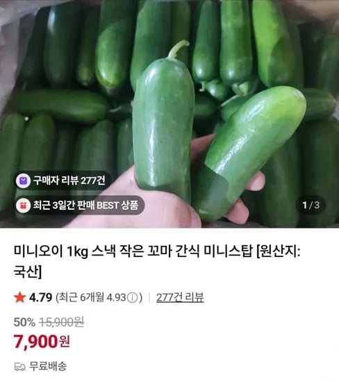 미니오이 1kg
