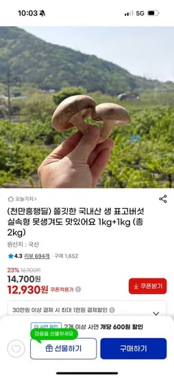 국내산 생 표고버섯 1kg+1kg 총2kg