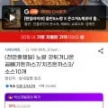 노랑 곱빼기돈까스 7개 치즈돈까스 3개 소스 10개