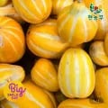 성주 꿀 참외 가정용 9kg