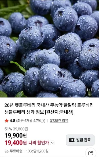 국내산 무농약 생블루베리 500g