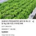 채소 모듬 1kg