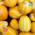 성주 꿀 참외 9kg