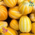 성주 꿀 참외 9kg