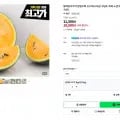 블랙망고수박 외 다양 3kg 미만 1개