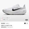 나이키 윈플로 12 HV9272-108