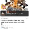 제철 활 암꽃게 1kg