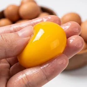 계란 무항생제 유정란 40구