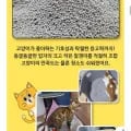 모찌네모래 무향 4L x 6개 18.6kg 벤토나이트 외 다양