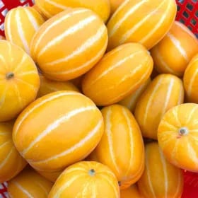성주 꿀참외 5kg