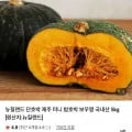 뉴질랜드 단호박 2kg