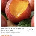 초고당도 침샘폭발 자두 햇자두 500g
