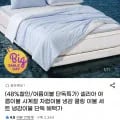 냉감이불 올포베딩 퓨어네스트이불 세트 SS 17kg