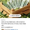 엑스트라버진 올리브오일 스틱 50포