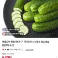 백다다기 오이 국내산 2kg