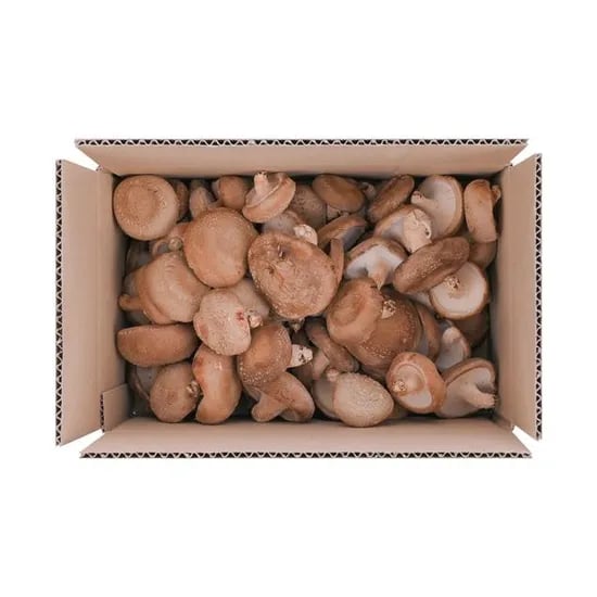 표고버섯 못난이 1kg (7,900원/무료)