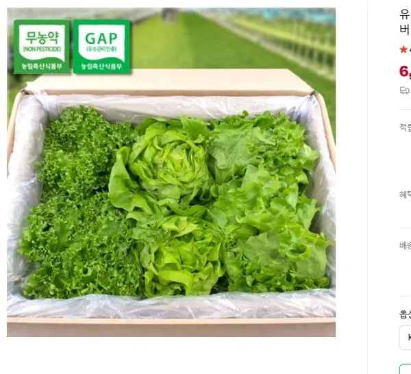 유러피안 샐러드 1kg 외 다양 4개