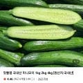 국내산 미니오이 kg (5,900원/무료)1