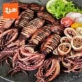 통찜용 오징어 급냉 600g (8,700원/무료)