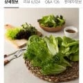 유러피안샐러드 6종 (5,900원/무배)