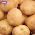 햇감자 포슬포슬 감자 제철 국내산 3kg (5,40원/무배)2