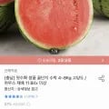 산해직송 첫수확 꿀단지 수박 정품 4~5kg (3,994원/무료)1