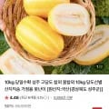 성주 고당도 참외 꿀참외 10kg