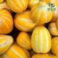 성주참외 가정용 9kg (19,900원/무료)