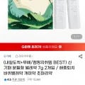 분필형 벌레약 해충퇴치 7g 2개입 (7,110원/무배)