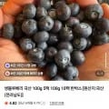 생블루베리 국산 100g 5팩 (19,700원/무배)
