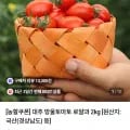 대추 방울토마토 로얄과 2kg(7420원/무배)