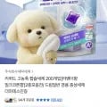 리퀴드 고농축 캡슐세제 8g 200개입 (9,400원/무료)