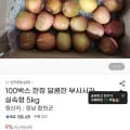 일반 부사사과 5kg