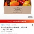 화순 도곡팜 미니 파프리카 1.2kg