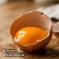 유정란 계란 무항생제 난각번호1번 8개