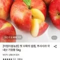 부사사과 국내산 가정용 5kg