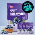 이츠웰 냉동 블루베리 1kg 3개 외 다양