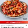 국내산 프리미엄 겉절이 3kg (10,420원 / 무배)