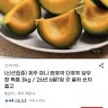 26년 제주 밤호박 단호박 보우짱 특품 3kg  (13,900원/무료)