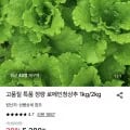로메인청상추 특품 1kg (4,230원/무료)